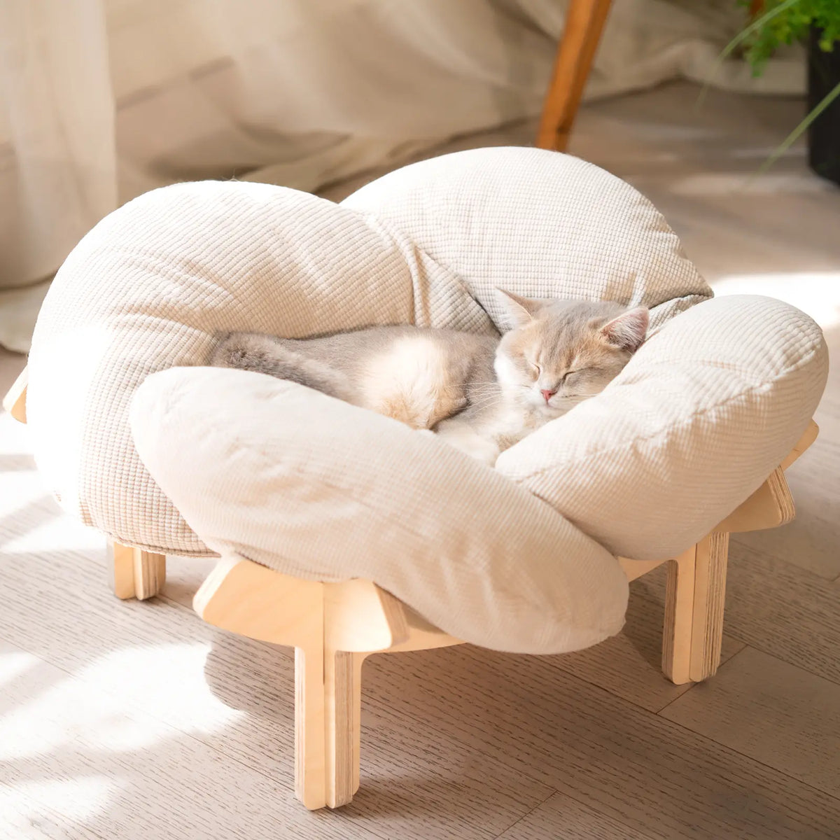 Raised Wooden Pet Bed with Petal Cushions